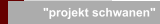 "projekt schwanen"